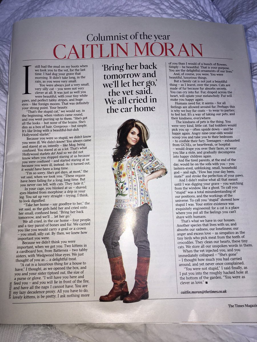 So true &amp; so beautifully written <a href="/caitlinmoran/">Caitlin Moran</a> - every cat owner will identify with this ❤🐈