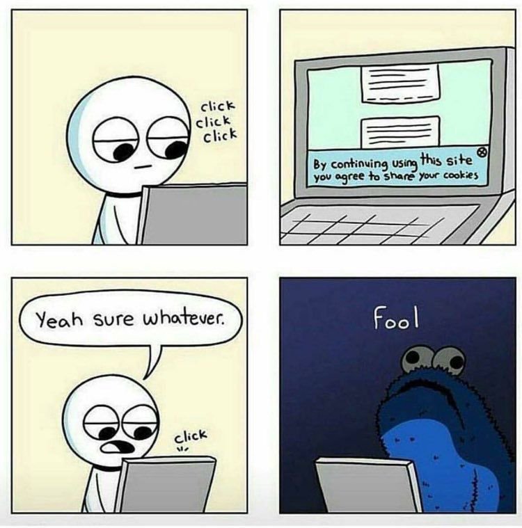 WholesomeMemes (@wholesomememe) on Twitter photo 