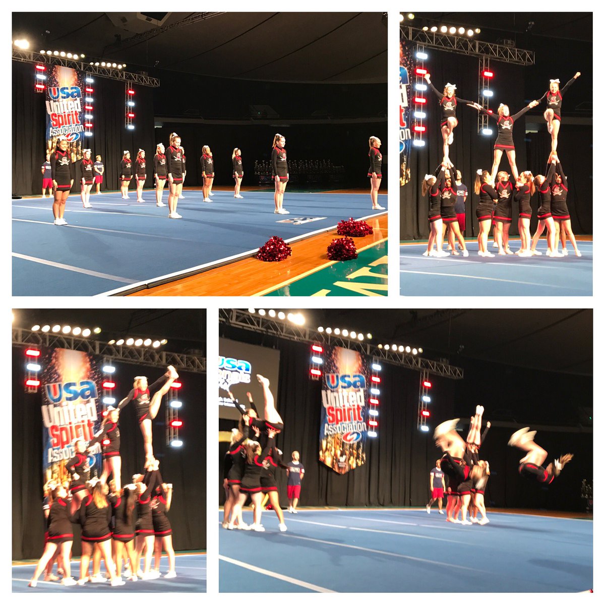 Cavalier Cheer tweet media