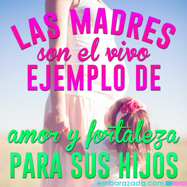 Embarazada.com tweet media