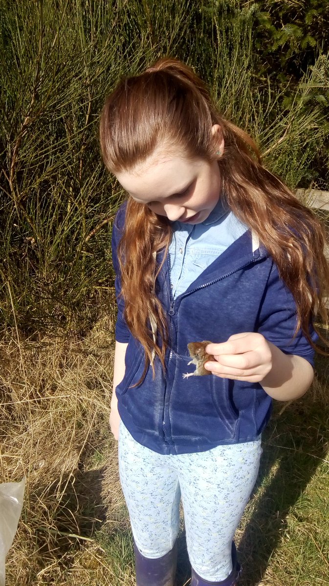 Graeme Wilson ๐๐พ๐ฆ๐๐ท๏ธ๐๐ (@graemebwilson) on Twitter photo All small mammal records gathered this weekend by me & <a href="/lydiahswilson/">lydia โก</a> will go to <a href="/Mammal_Society/">Mammal Society</a> via <a href="/iRecordWildlife/">iRecord</a> app. <a href="/labmammalgroup/">LaBMammalGroup</a> All small mammal records gathered this weekend by me & <a href="/lydiahswilson/">lydia โก</a> will go to <a href="/Mammal_Society/">Mammal Society</a> via <a href="/iRecordWildlife/">iRecord</a> app. <a href="/labmammalgroup/">LaBMammalGroup</a>