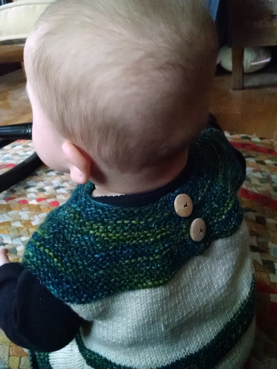 tinkingturtle's tweet image. Coming to Fruition tinkingturtle.com/2017/03/coming…