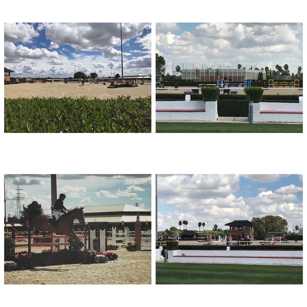 Os dejamos algunas imágenes de ayer del inicio del CSN4* en el Real Club Pineda de Sevilla