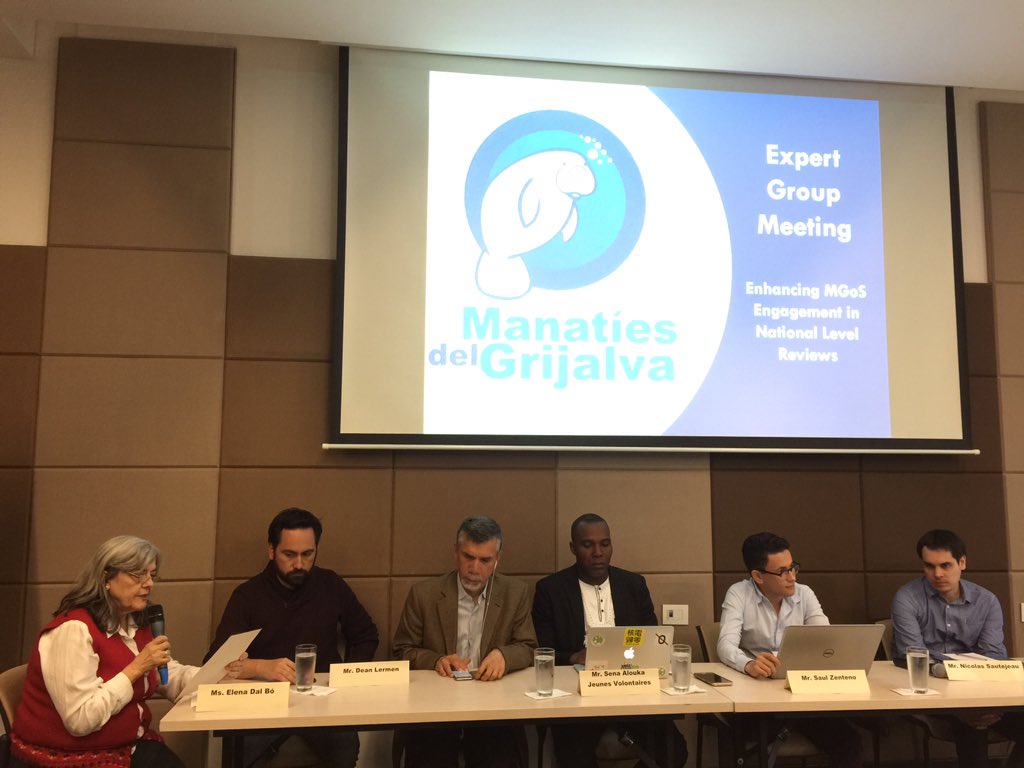 Dean and Elena presenting on behalf the stakeholder Group of PWD at the UN's expert group meeting! <a href="/IDA_CRPD_Forum/">International Disability Alliance (IDA)</a>