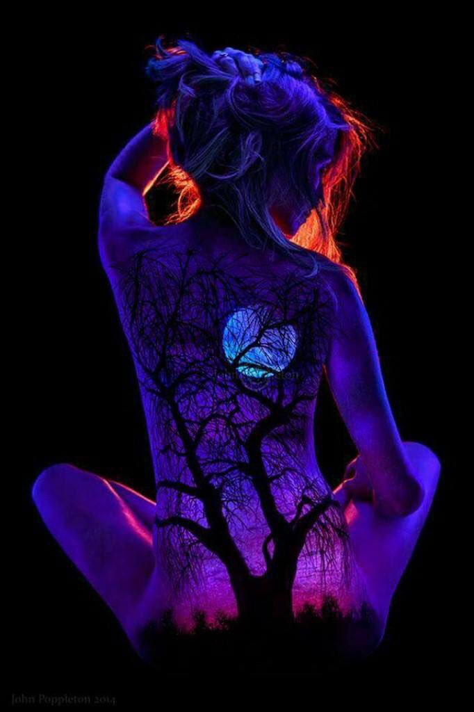planterose03's tweet photo. @k_edwa @X7V19 @fritz79art @Claudin53662834 @juanpach_wolf @IlI_l0 @amoloslobos @jeanclaudelafo1 @SKID1144 @Escorpin13 @rajesh6363 https://t.co/0QL1GfRKkg