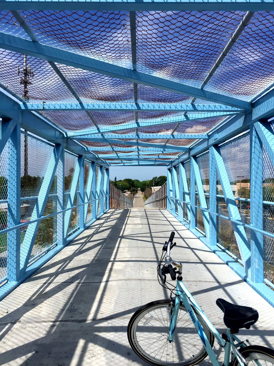 Did I mention it's beautiful out?! Cruising the 47-mile Pinellas Trail today. ☀️🚴‍♀️ #LiveAmplified