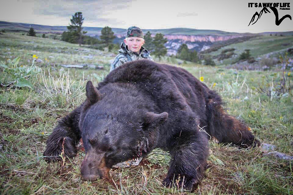 ITSAWAYOFLIFEp's tweet image. Are you hunting Spring Bears? #springbears #blackbears #springhunts #hunters #hunts #hunt #hunting #itsawayoflifeproductions