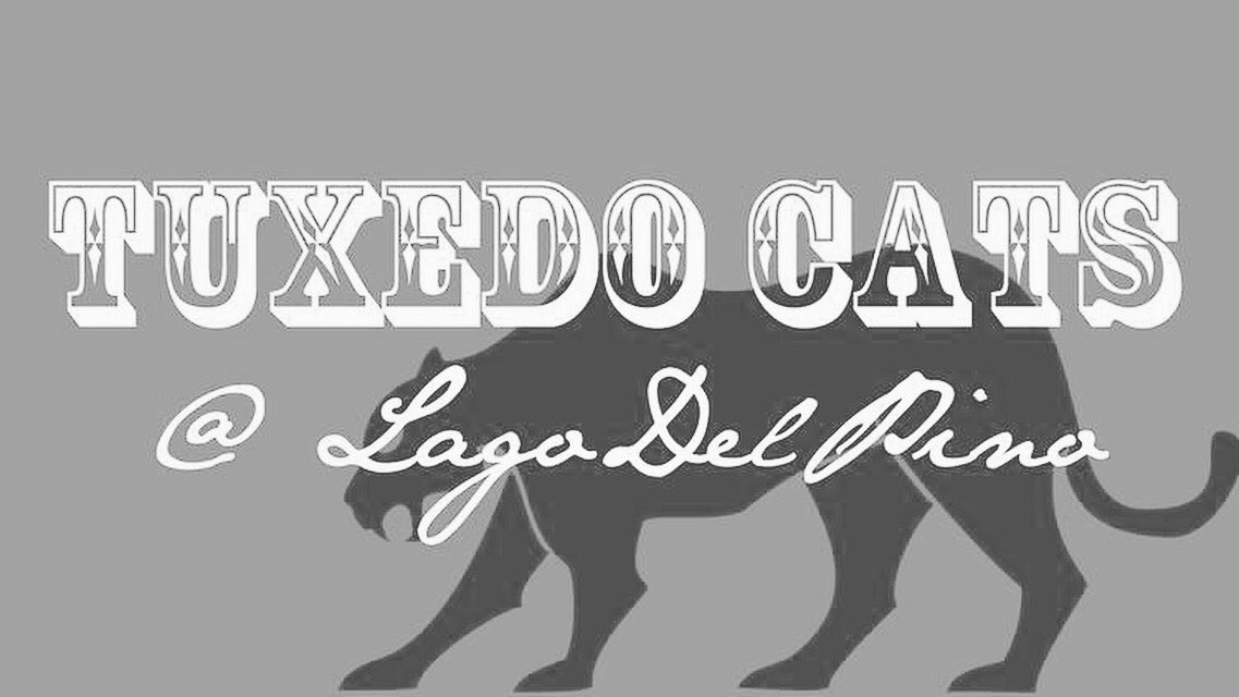 LagodelPino's tweet photo. Tonight is what Lago is all about! Beautiful Weather &amp; Excellent Entertainment. Tuxedo Cats tonight at 8P ! https://t.co/myvZq4tzWa
