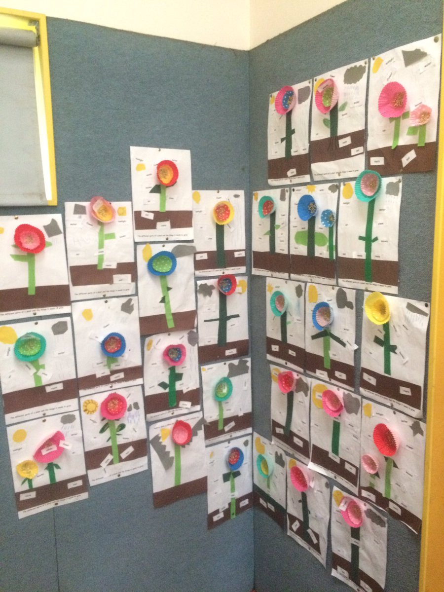 Maree_E_C's tweet photo. Learning about parts of a plant on harmony day with year 1's! Miss Cole, Mrs Southam and Miss Rivera had lots of fun! @IngleburnPs https://t.co/I8XahjpJTv