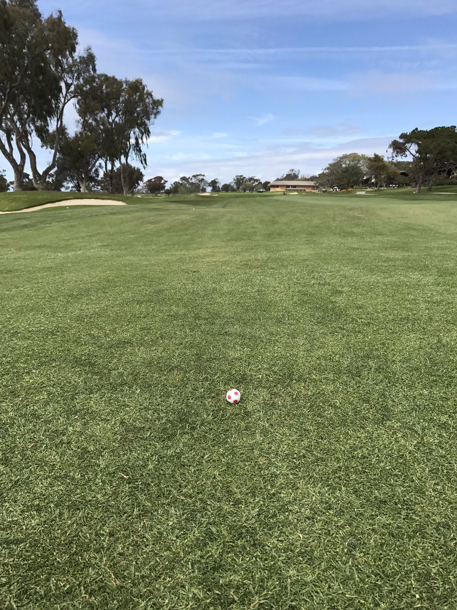367_alex's tweet photo. Just such a good ball. @CallawayGolf #truvis #chromesoftX https://t.co/aCJRm1wUoL