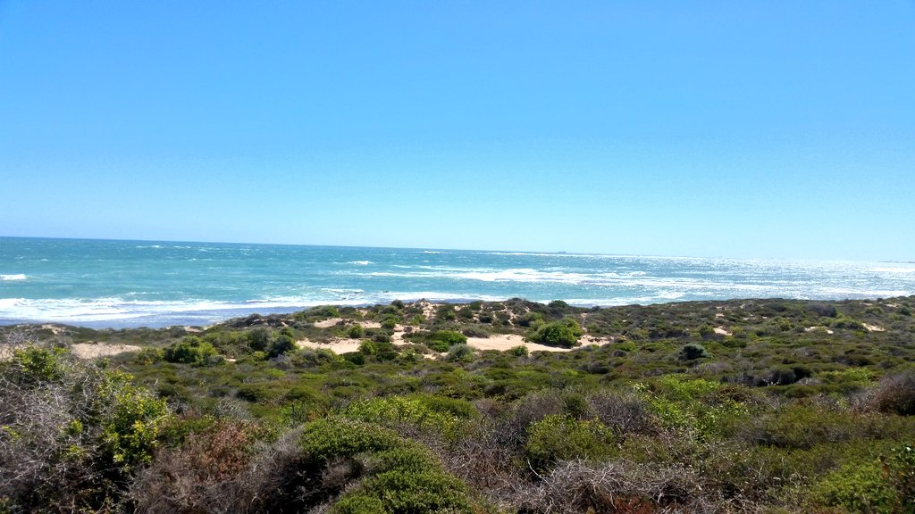 KiplingKirsty's tweet photo. Greenough River Walk Trail has some really lovely views! #beautifulwa #justanotherdayinWA https://t.co/rH4ZXkdLdf