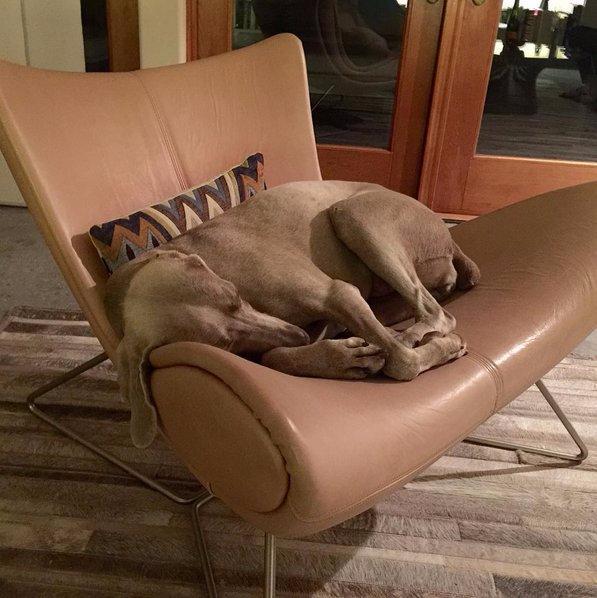 Que no se pierda la costumbre de disfrutar en buen estilo con los seres queridos más preciados.