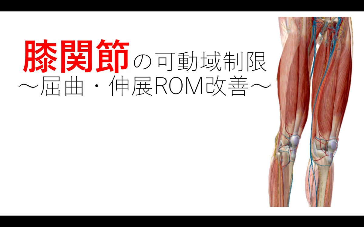 kibou7777's tweet image. 「膝関節の屈曲・伸展可動域改善について」
ハムストリングの解剖と後方の関節包について追加しました！
reha-basic.net/knee-3/