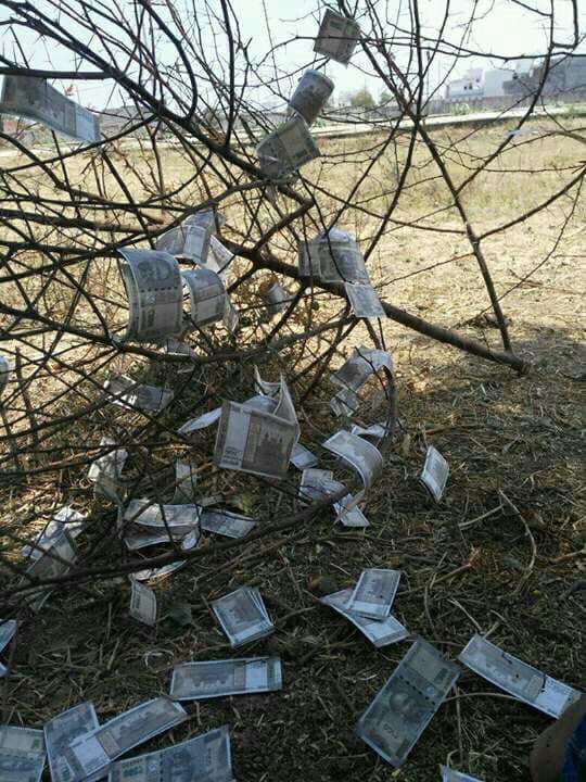 Shishup08438685's tweet image. 