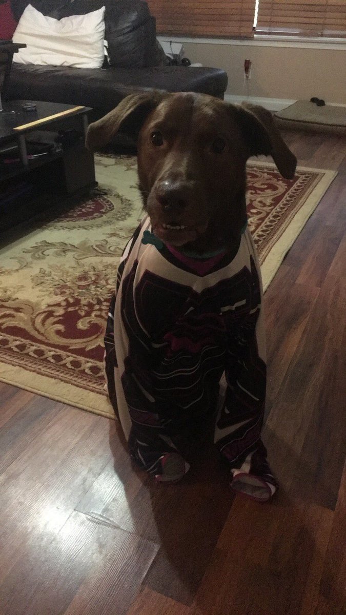 Jroll102's tweet photo. Impatiently waiting for the race to start. #SXonFOX https://t.co/e6V6qXOTYa