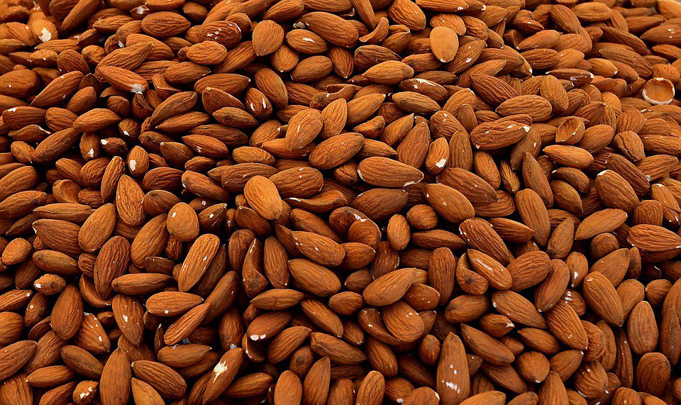 EpicureFactory's tweet photo. Why Almonds Are Good For You? https://t.co/PXPNm3A25a https://t.co/HbB7IxdDlY