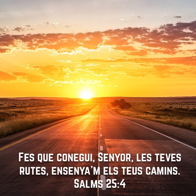 bellasanser's tweet photo. @technoforjesus , hi Jordan https://t.co/QEurrXRamI