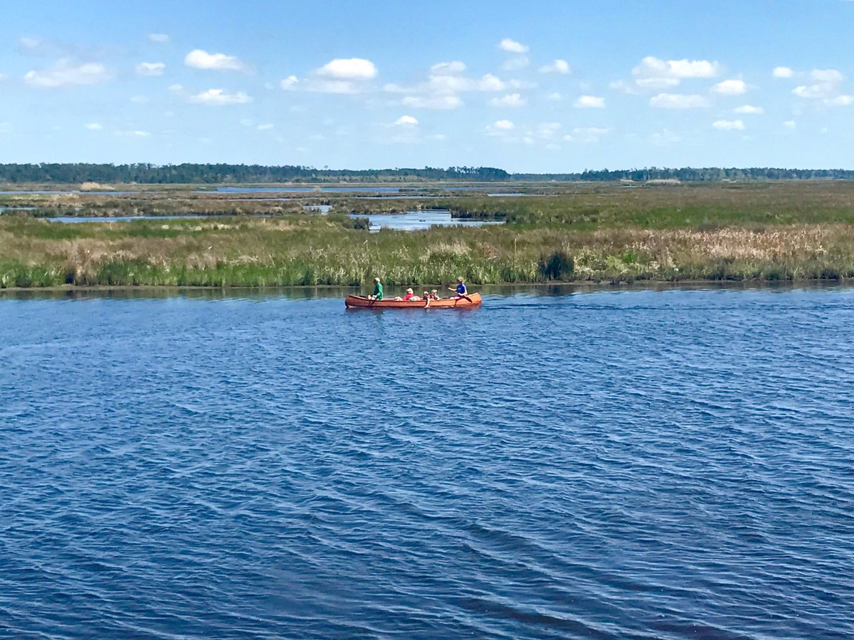 MidCityGoogan's tweet photo. #louisiana #marsh https://t.co/OUpOrDzMqP