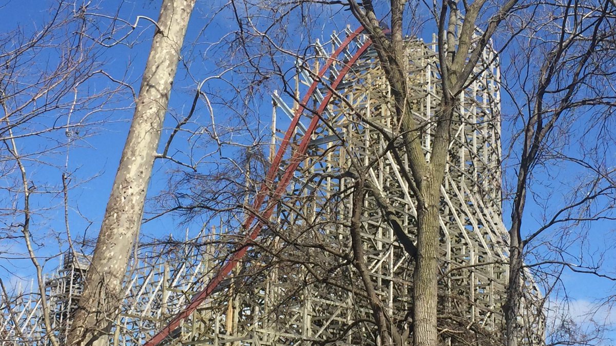 NewMeanStreak's tweet photo. have to hide in the Trees so no one sees me Capture this shot. https://t.co/rqY2V3AYKO