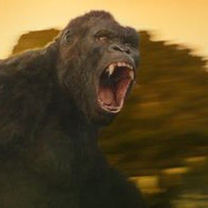 CitizenScreen's tweet photo. #KONG: SKULL ISLAND review:
Overall - fun! Negatives: Some CGI run amok 
- Kong has too much bouncer and not enough primate in his posture. https://t.co/nnS2PM5mt7