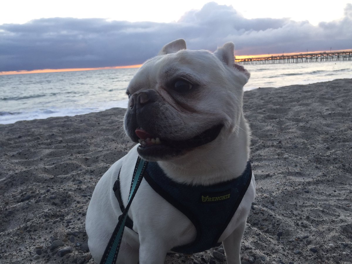 1Lifecc's tweet image. A much needed #fillingmyballoons #pledgewellness