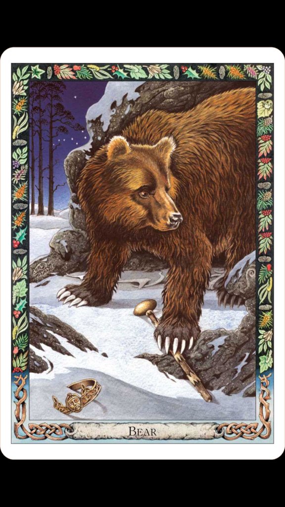 GrimOgreLabs's tweet image. today&apos;s #druidanimaloracle card is 🐻 

who would&apos;ve thought 

connecting with ancestral roots