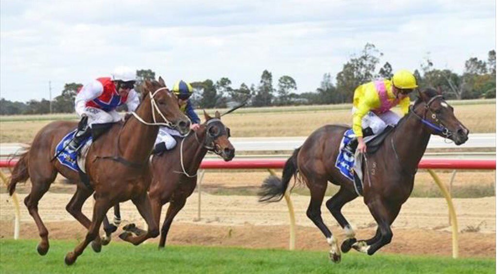MarkGrech23's tweet photo. Consider the duck broken. Bonville's first win! Thanks @daniel_moor and @DOBrienRacing #toogood #nicetype https://t.co/CRHw1EMeor
