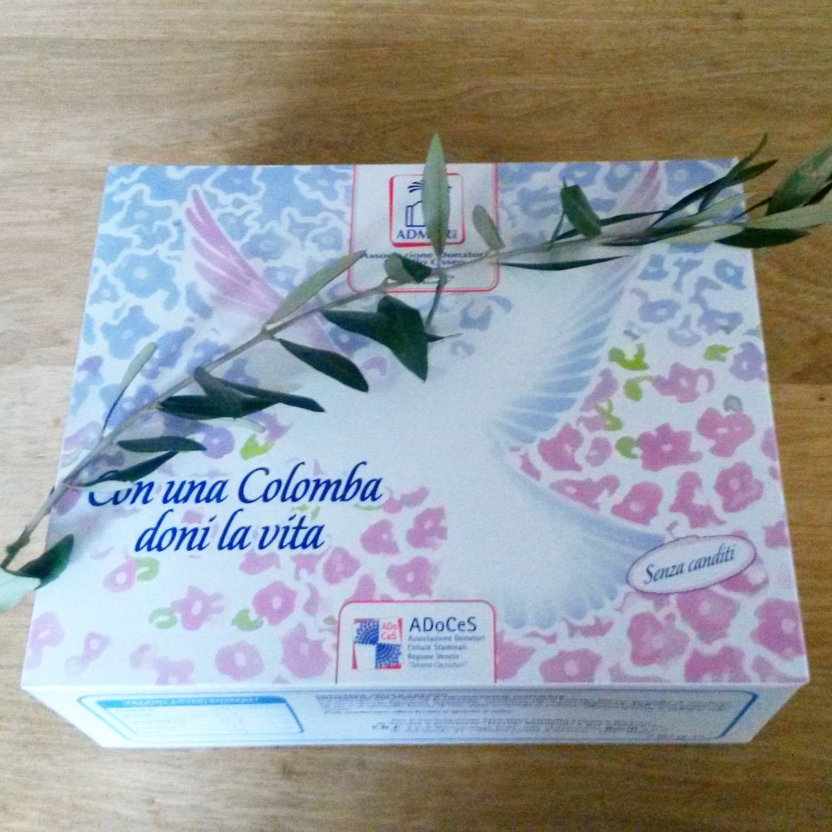 cambro_86's tweet photo. #domenicadellepalme #colomba #ulivo #admor #pace https://t.co/iHANRlxYrR