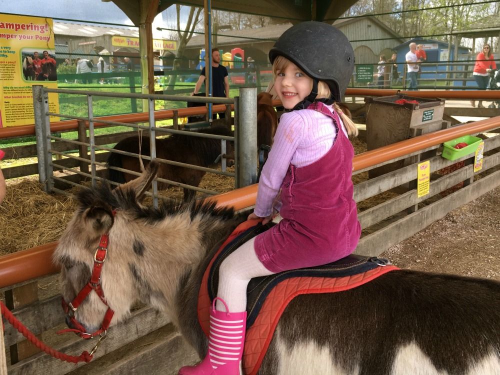 TinBoxTraveller's tweet photo. Devon day out: a pigging good time at @PennywellFarm https://t.co/KIRj9ipnSe #EasterinDevon #DevonEggHunt @DevonTopDaysOut https://t.co/7cwNd5qQX7