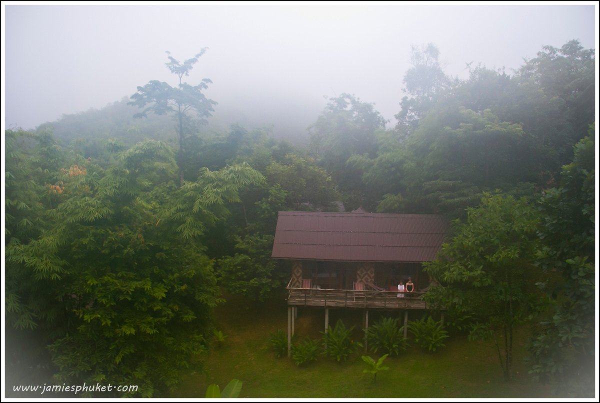 jamiemonk's tweet photo. I think we might just manage a couple of nights in Khao Sok National Park soon ... a few photos from previous trips ... https://t.co/iA2s0kil6c