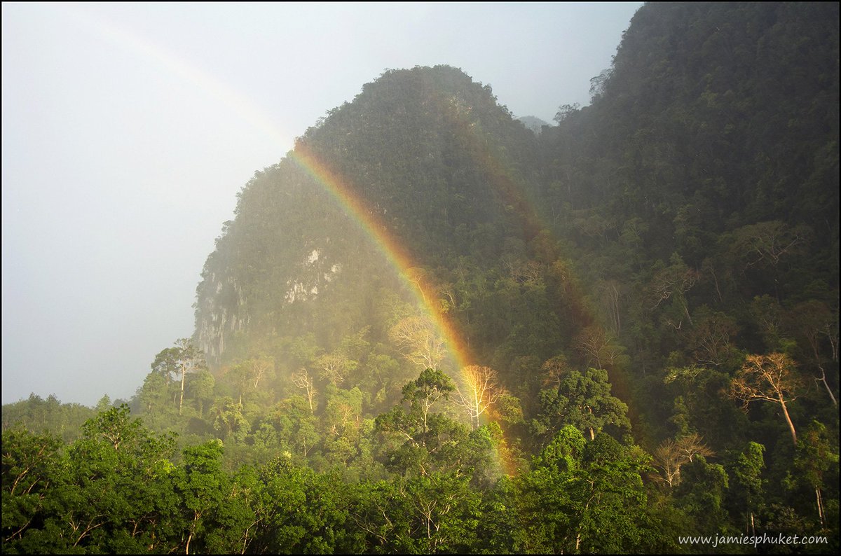 jamiemonk's tweet photo. I think we might just manage a couple of nights in Khao Sok National Park soon ... a few photos from previous trips ... https://t.co/iA2s0kil6c