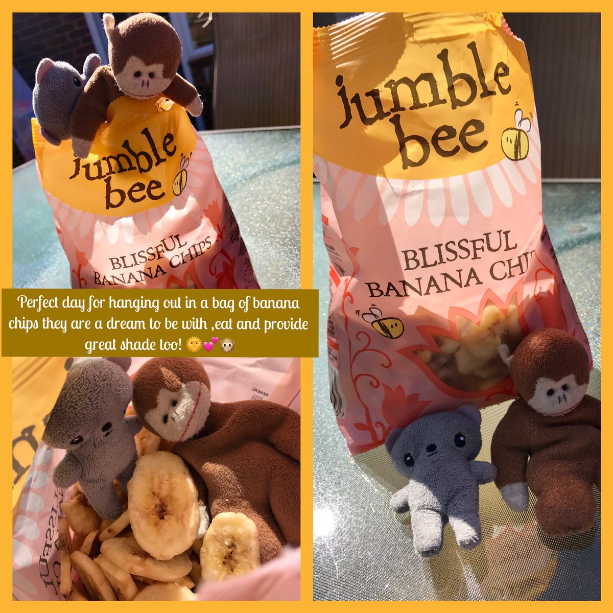 ChimpyWorldwide's tweet photo. Superb day for hanging out with my bestie 'Dave' in the sunshine with our fav food. Just chilling😎🌞 https://t.co/oq9Js8lBQj