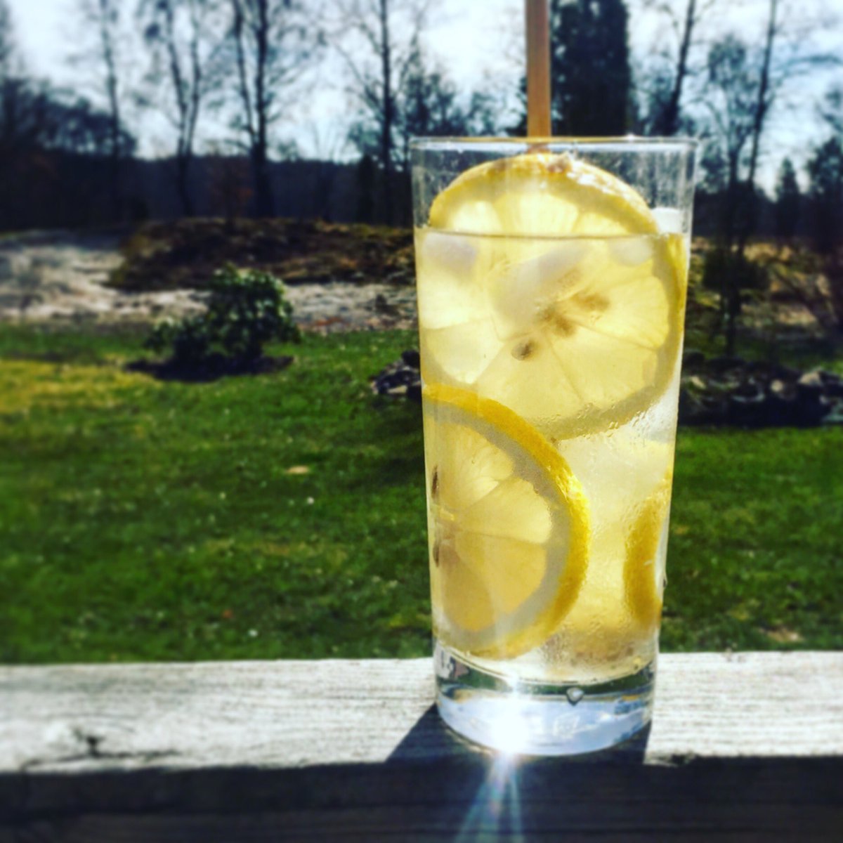 Runavodka's tweet image. Idag är det GT-dagen hoppas ni firar den med en riktigt bra GT glöm inte eko gin och eko citron.. #GT