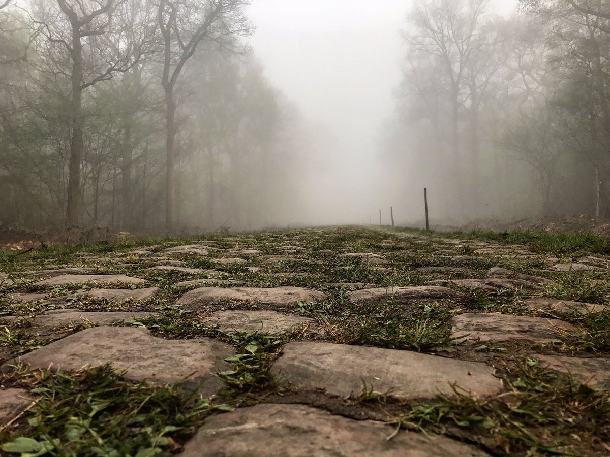 GreenEDGEteam's tweet photo. #ParisRoubaix: ARENBERG TIME! #AlwaysKeepRiding https://t.co/OtFrOJbmLJ