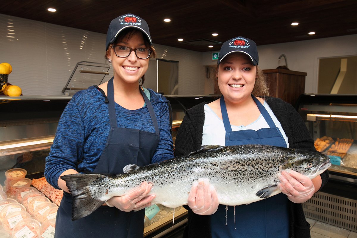 Voilaquebec's tweet photo. Les Pêcheries Raymond Desbois opened its new fishmonger last Friday. You can now discover  their sea delights at 1628, Chemin Saint-Louis! https://t.co/mefQFZyIfv