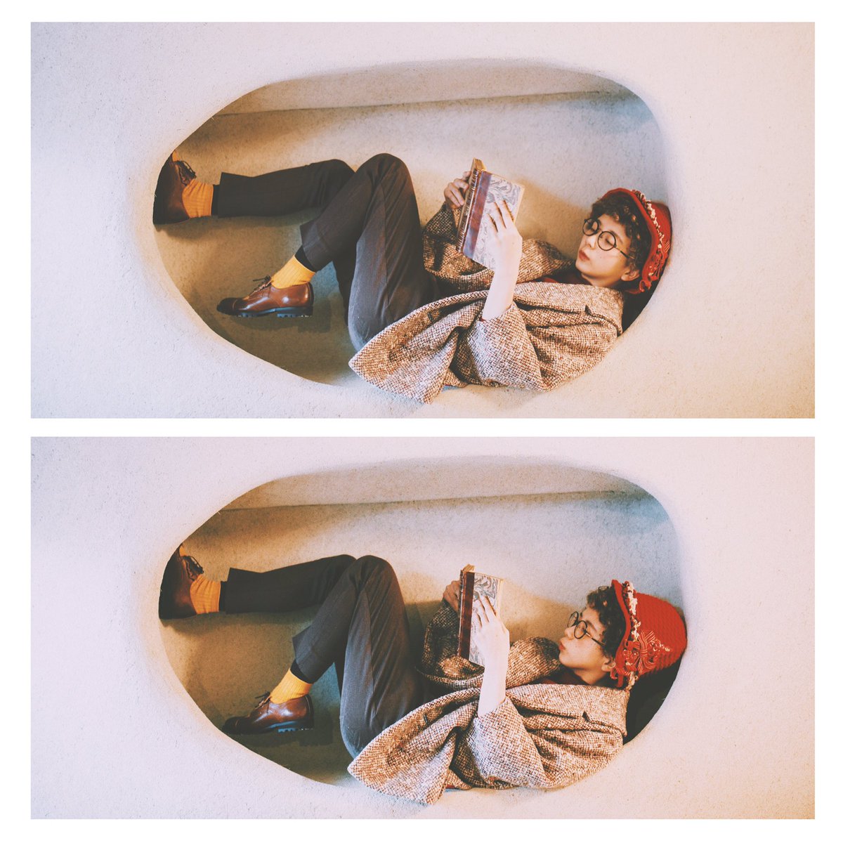 きのこのこのこ