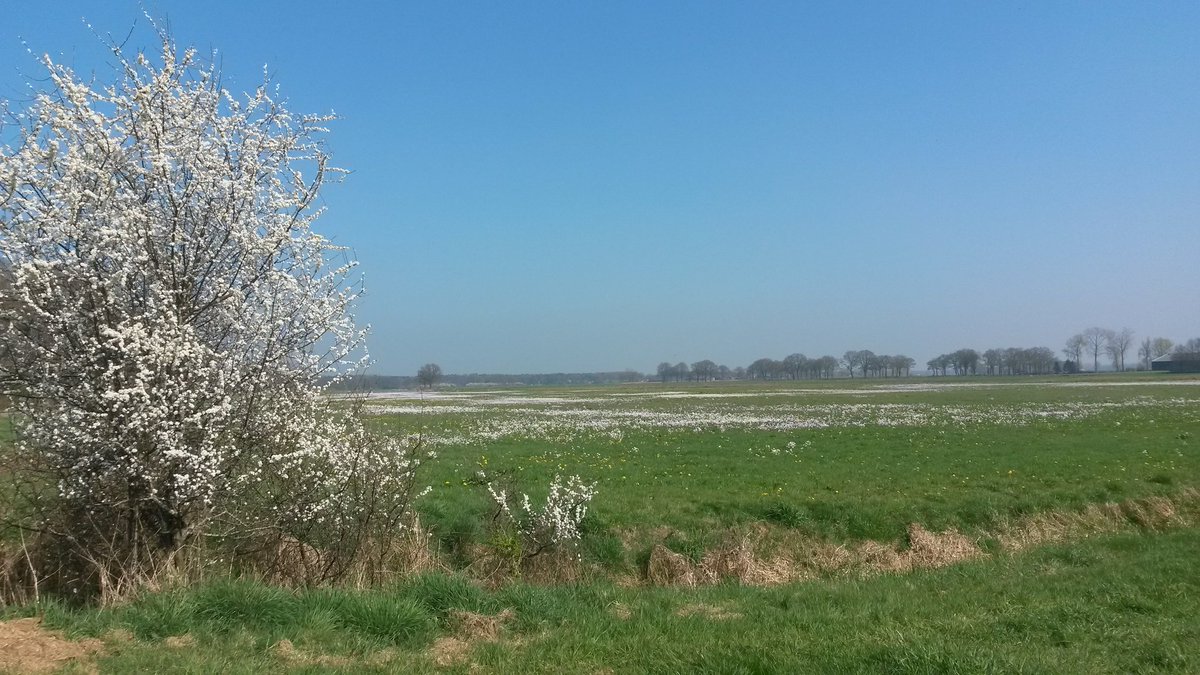 Vechtdal zo mooi😎