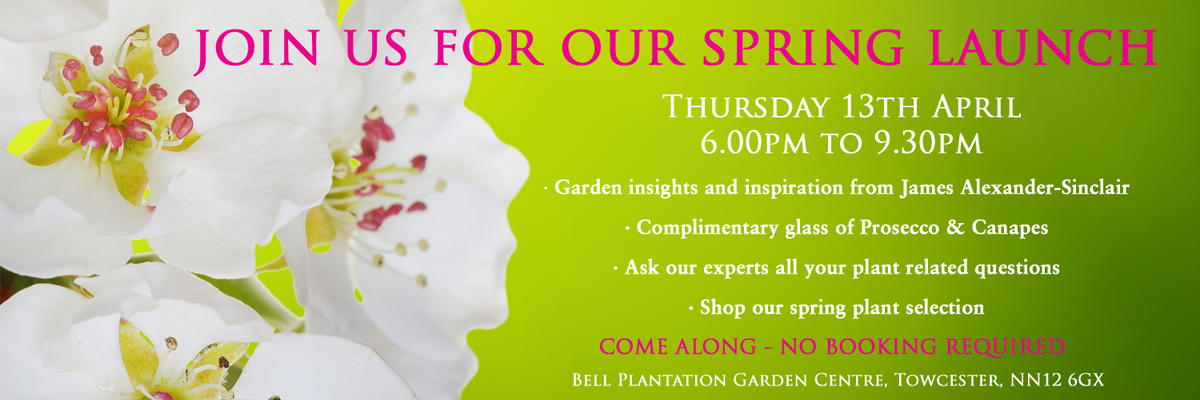 A GREAT night out in #Towcester with @JamesASinclair gardening advice, inspiration, free prosecco, canapes, shopping -13TH APRIL, JOIN US!