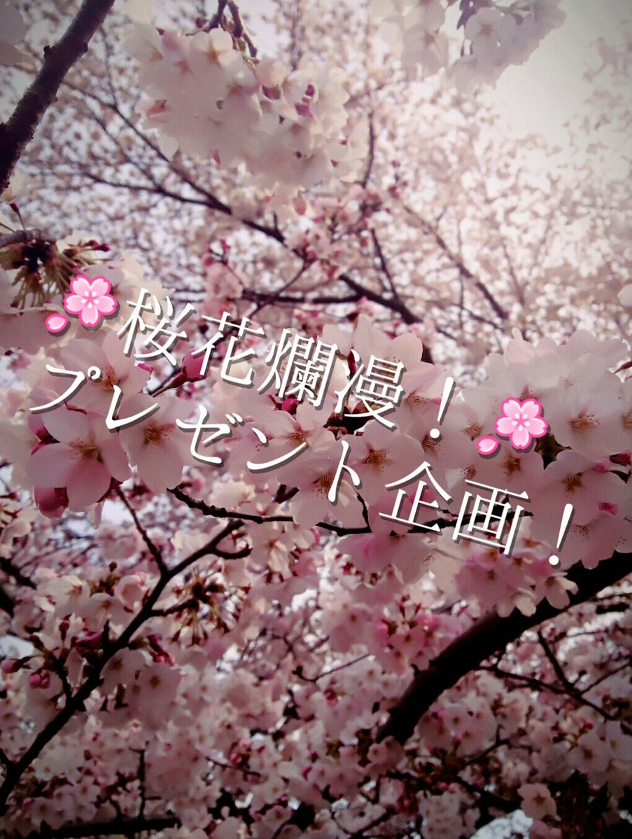 月読 京夜 弦月楼 على تويتر プレゼント企画開催致します 応募要項をご覧になり 是非ご応募下さい ˊᵕˋ 今回はキャラクター1人の リボン制作です ペアリボン 1つのリボンに2キャラクター はお受け出来ません ご了承ください とうらぶ手芸部 刀剣乱舞
