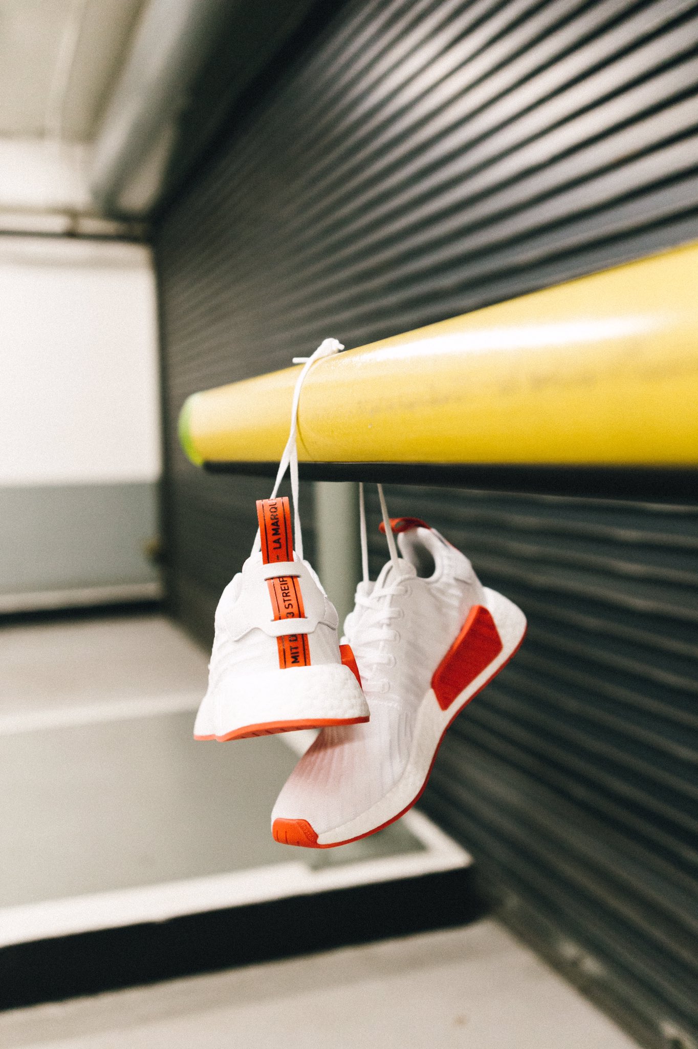 nick rufo on Twitter: 