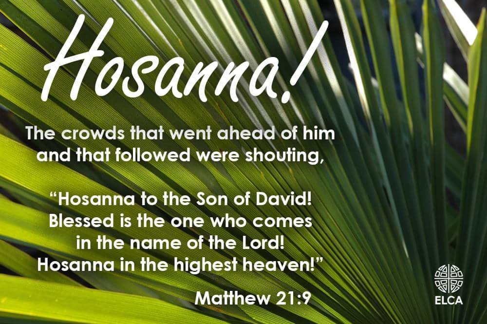 Hosanna! Today is #PalmSunday. 

#ELCA