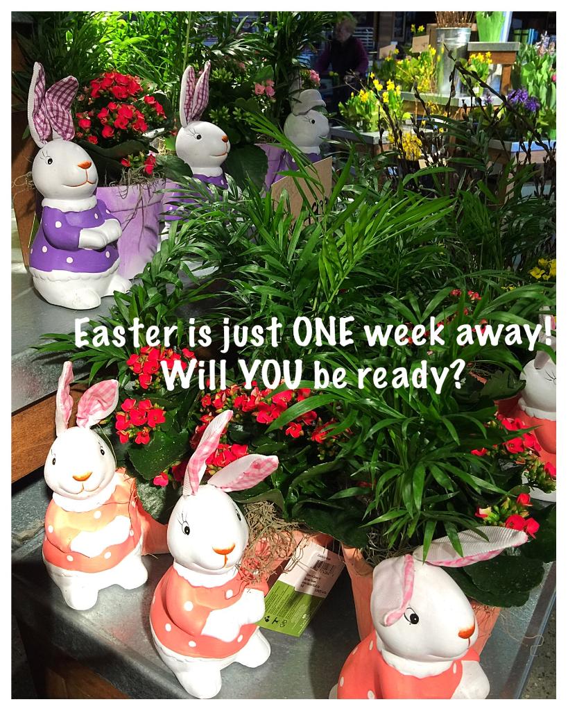 MDKingsdale's tweet photo. Bunnies are EVERYWHERE at Kingsdale! We can help you find one that's just perfect for you! #EastersOnItsWay https://t.co/RkgjskfPuj