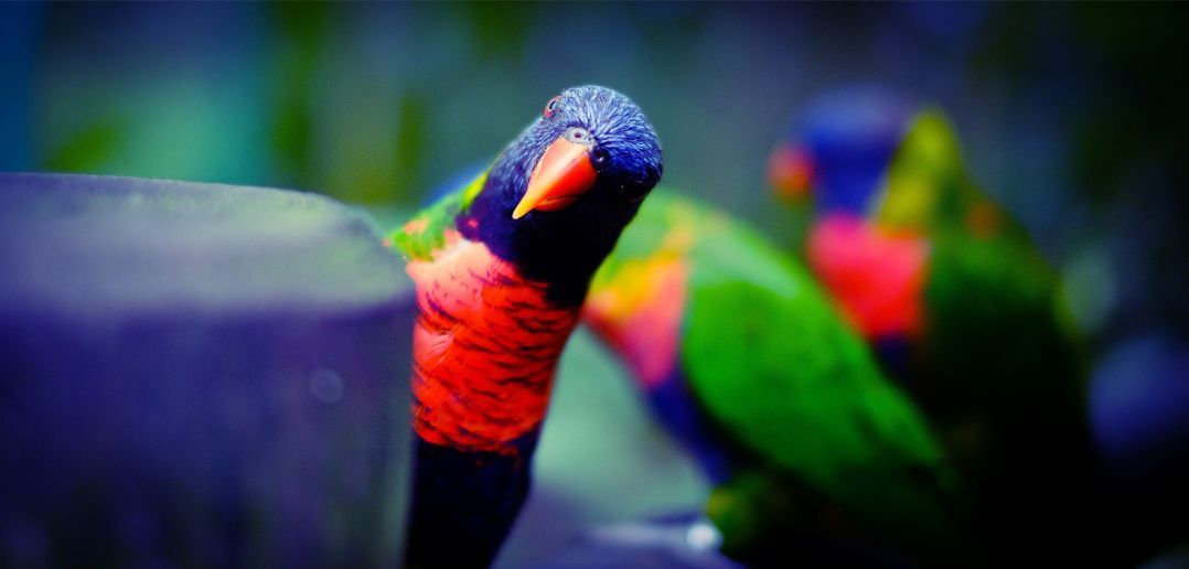 CareerExpertsUK's tweet image. How to Answer the Difficult Questions Employees Ask #mangement #leadership buff.ly/2o4znf7