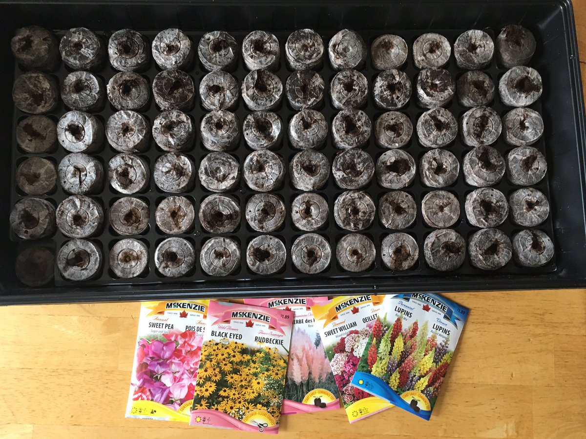 JillJade1's tweet photo. Planting has begun! #bringbackthebees #savethebees https://t.co/2w3jh2emwU