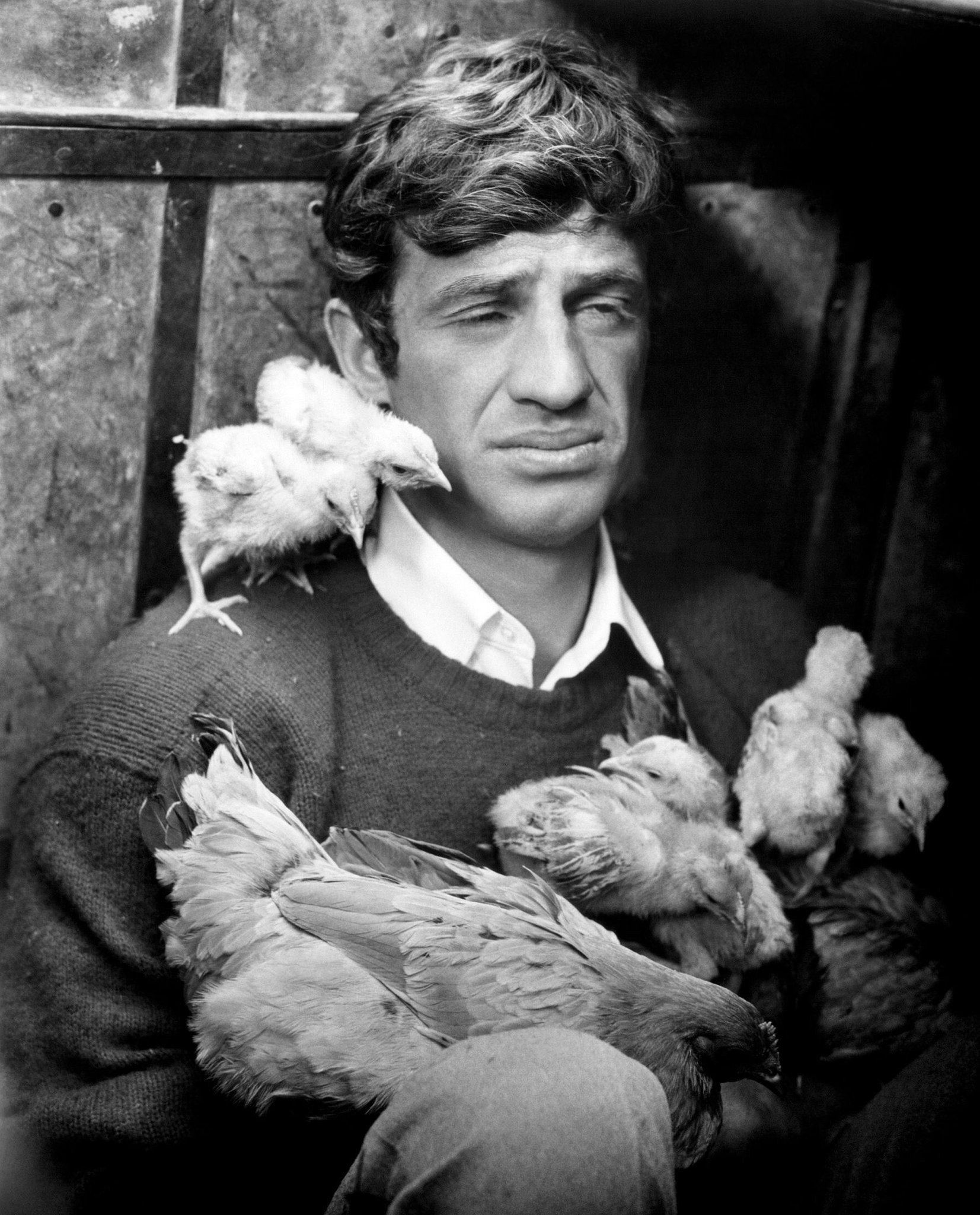 Some guys get all the chicks. Happy 83rd birthday to French New Wave star Jean-Paul Belmondo! 