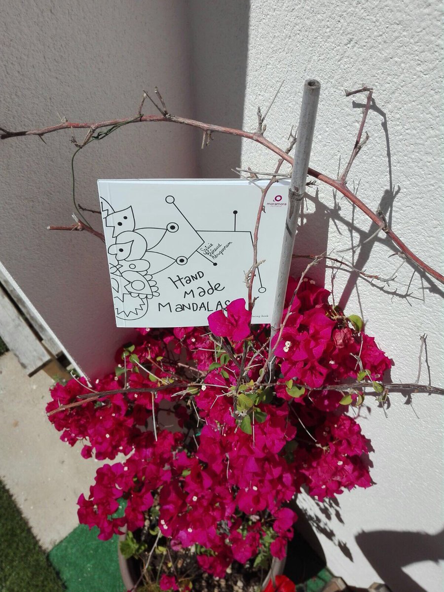 Entre bugambilias y mucho amor presentamos el libro y dejamos luz, sombra y color con un mándala colectivo en La Casa Despierta #Sevilla