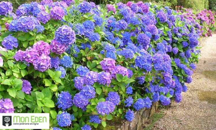 🌷Mettez-vous à l'heure printanière avec un bon d'achat sur le site Mon Eden
gr.pn/2nWpOAl