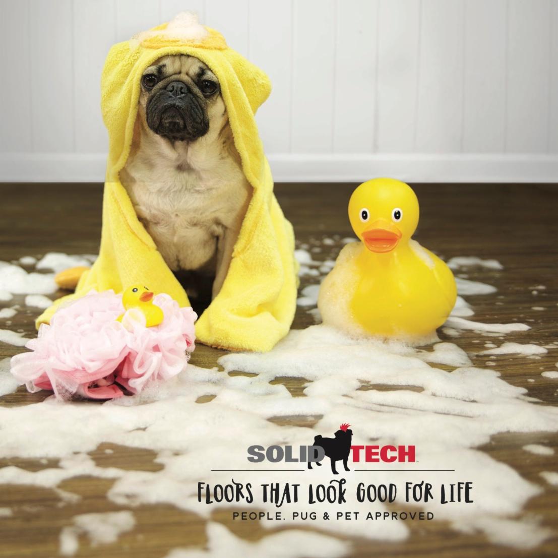 Carpeteria's tweet image. Even if @itsDougThePug gets a little too carried away while having fun, #SolidTech floors can handle any accident! pbxx.it/zLmR8h