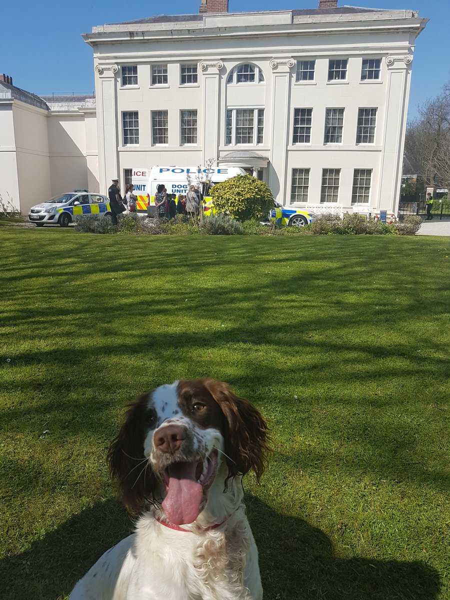 SohoHouseMuseum's tweet photo. We had 11months old Binky who is training to become a explosive sniffer #Dog @SohoHouseMuseum today #copswap
how cute is she!
@BM_AG https://t.co/qxhcKrO9SM