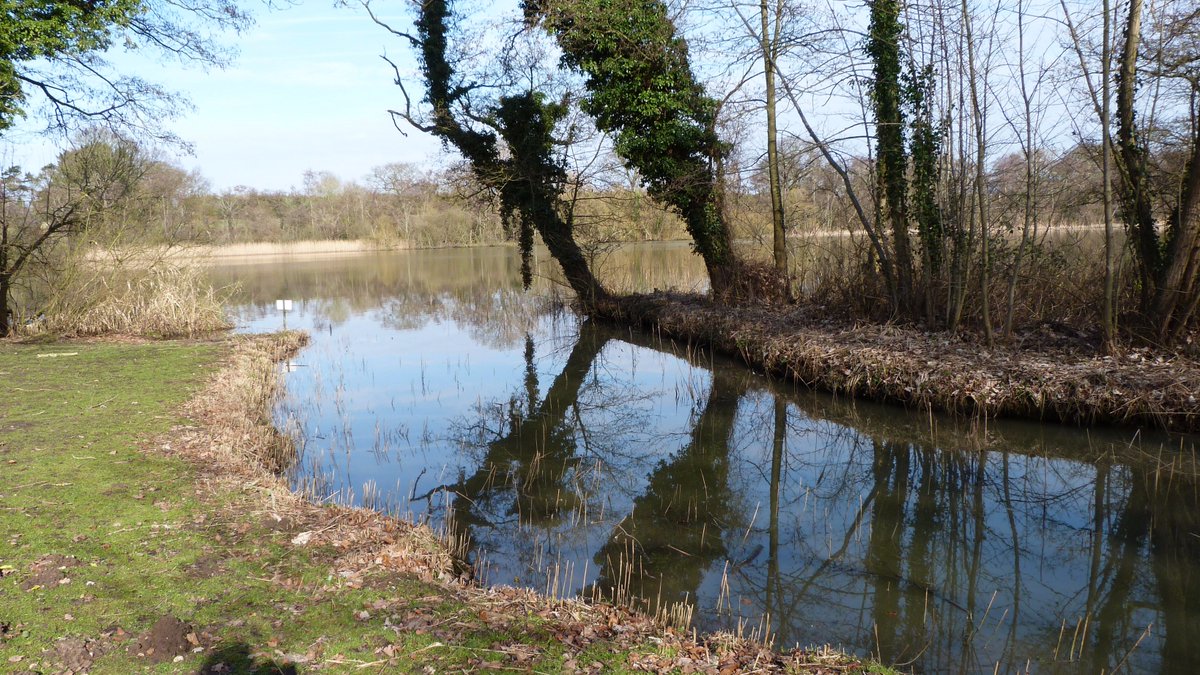 broadsspiritual's tweet photo. Broads
A quiet corner
by South Walsham Inner Broad
for some reflection

We all need places
for escape, contemplation
and peaceful prayer https://t.co/qdB6T0oT1e